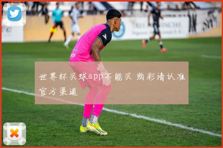 世界杯买球app不能买 购彩请认准官方渠道