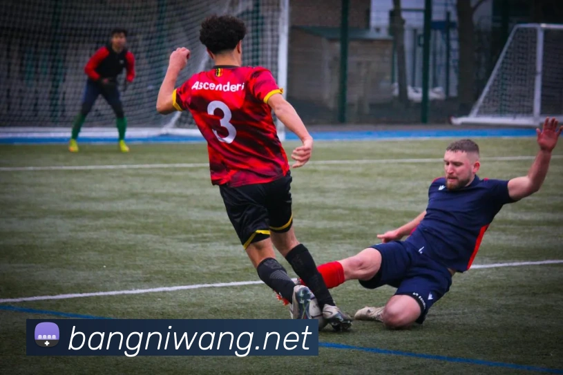 hth官网服务体系